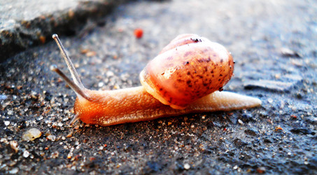 Similar image 2983557