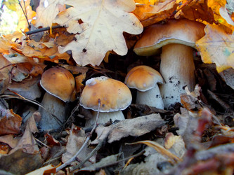 Similar image 2983558