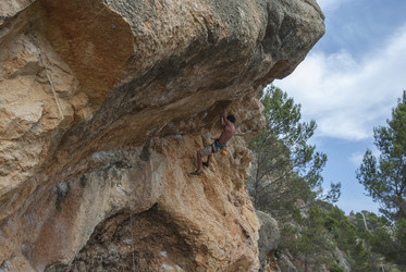 Similar image 2983585