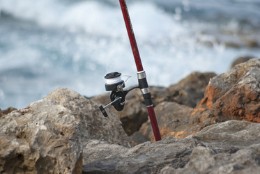 Similar image 2983590