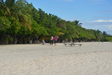 Similar image 2983695