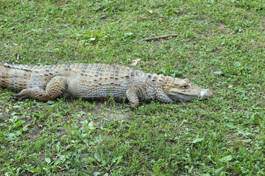 Similar image 2984894