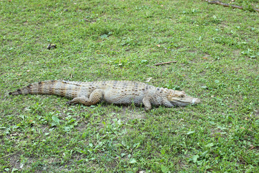 Similar image 2984895