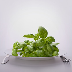 Similar image 2985570