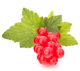 Similar image 2985577