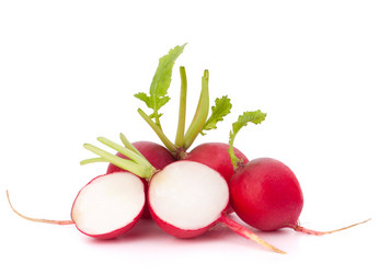 Similar image 2985644