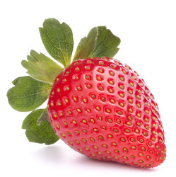 Similar image 2985650