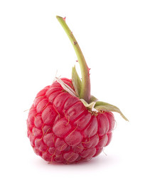 Similar image 2985653