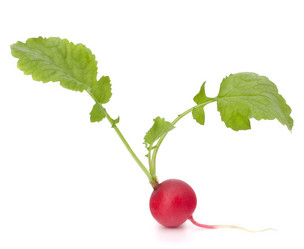 Similar image 2985655