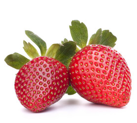 Similar image 2985659