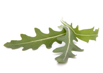 Similar image 2985672