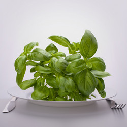 Similar image 2985682