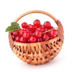 Similar image 2985692