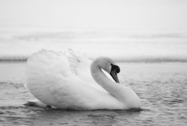 Similar image 2985699