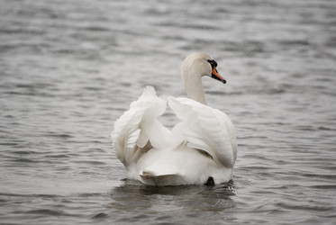 Similar image 2985704