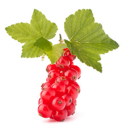 Similar image 2985720