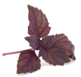 Similar image 2985725