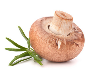 Similar image 2985748