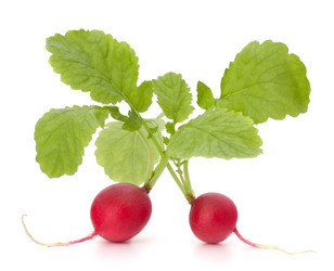 Similar image 2985757