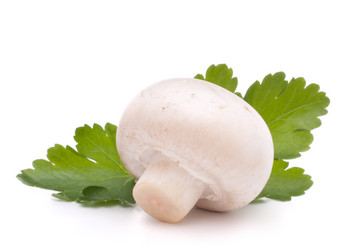 Similar image 2985767