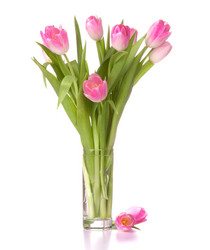 Similar image 2985783