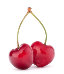 Similar image 2985788