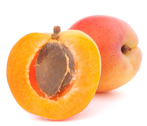 Similar image 2985806