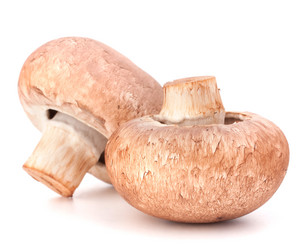 Similar image 2985823