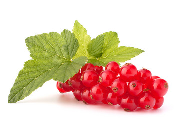 Similar image 2985835