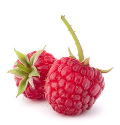 Similar image 2985841