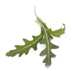 Similar image 2985847