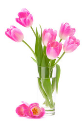 Similar image 2985882