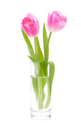 Similar image 2985905