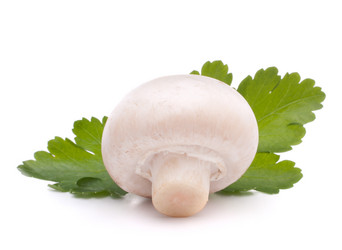 Similar image 2985914