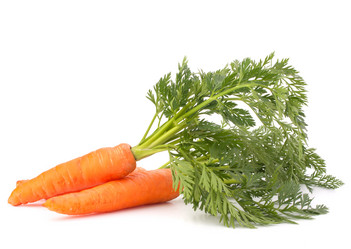 Similar image 2985923