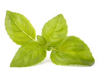 Similar image 2985929