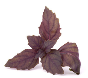 Similar image 2985975