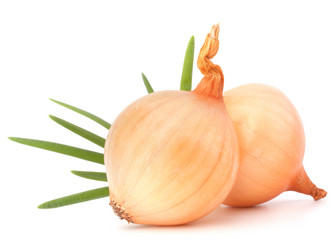 Similar image 2985988