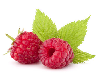 Similar image 2985995