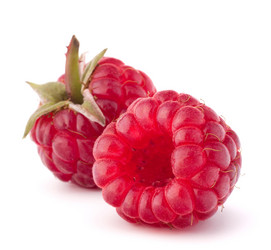 Similar image 2986008