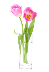 Similar image 2986031