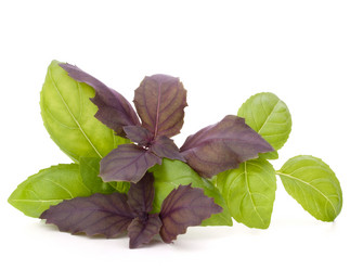 Similar image 2986069