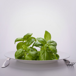 Similar image 2986110