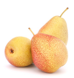 Similar image 2986114