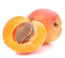 Similar image 2986116