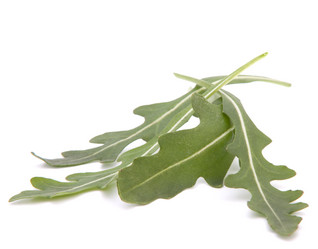 Similar image 2986126