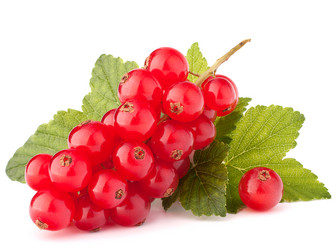 Similar image 2986130