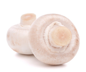 Similar image 2986145