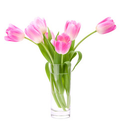 Similar image 2986159