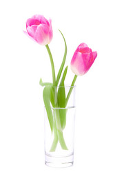 Similar image 2986215